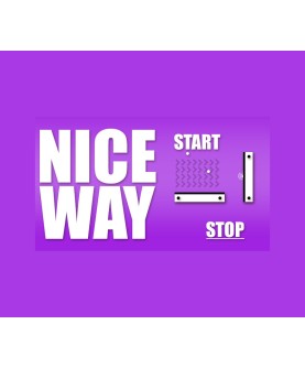 Nice Way Steam Key GLOBAL